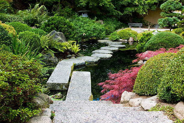 Picture of stairs and stepping stones in a japanese garden