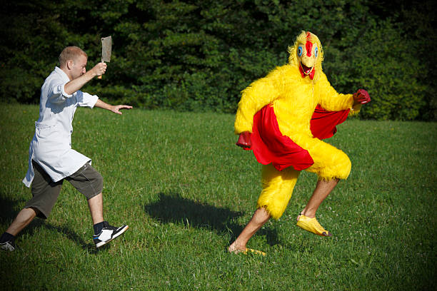 Butcher courir après poulet - Photo
