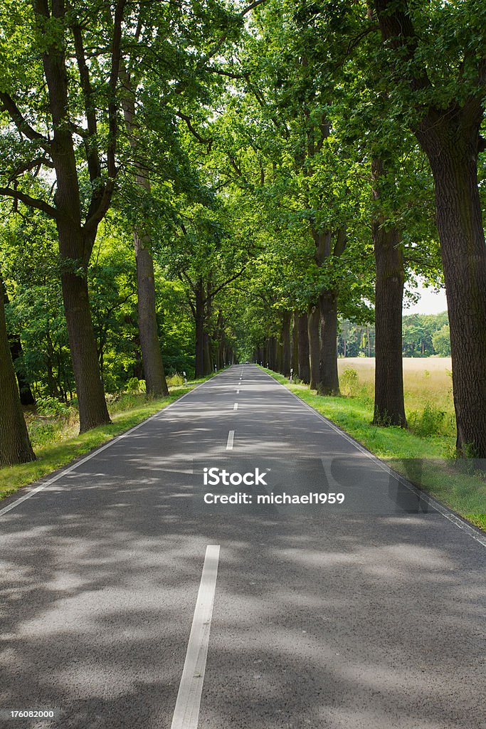 Route de campagne - Photo de Avenue libre de droits