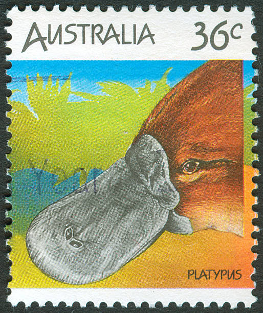 istock Postage stamp of Platypus 176082141