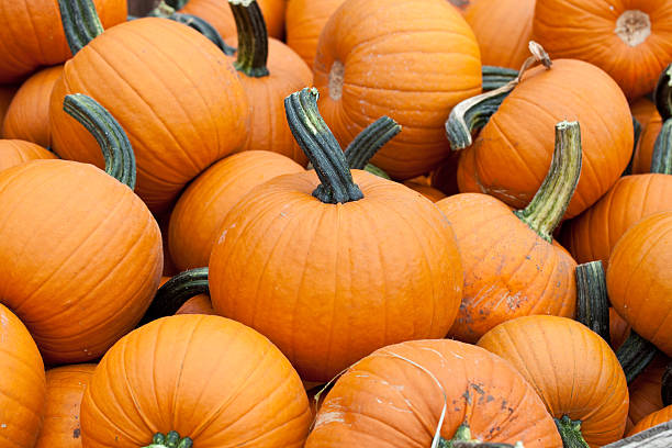 istock Pile of sugar pumpkins 176082208