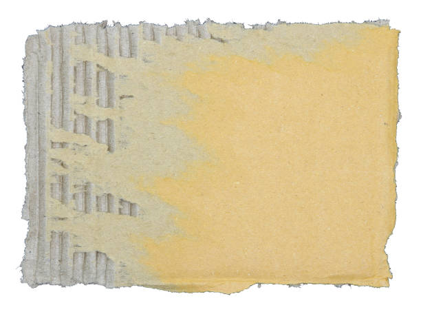 istock Torn pieces of corrugated paper isolated on white background 1760822193