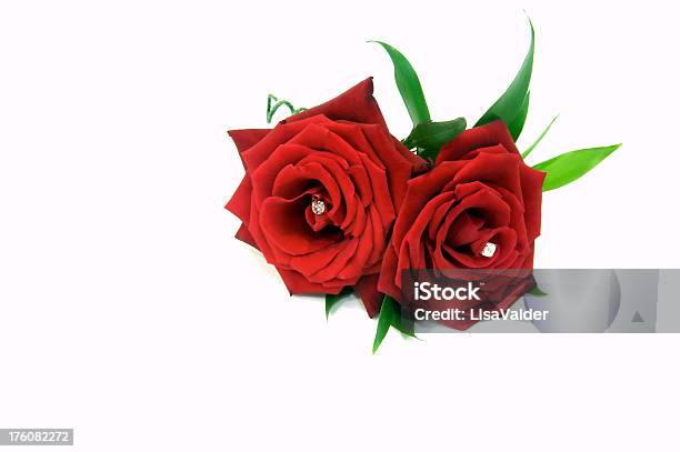 Hochzeit Day Stockfoto und mehr Bilder von Blume - Blume, Blume im Knopfloch, Blütenblatt