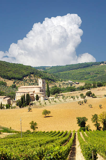 istock Abbey and Vineyard,Tuscany 176082338