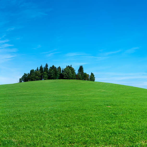 istock Square spring landscape 64MPix XXXXL - meadow, blue sky 176082402