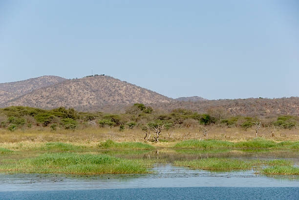 istock Phongolo Nature Reserve (Wetland) 176082850