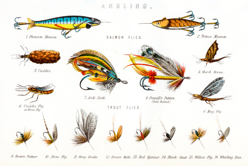 Vintage engraving of various Fishing Flies, including - Salmon flies, Phantom Minnow, Totnes Minnow, Caddis, March Brown, Jock scott, Pennell's Pattern, Caddis Fly, May fly, Trout flies, Brown palmer, Stone fly, Grey drake, Brown, Red spinner, Black gnat, Willow fly, Whirling dun.