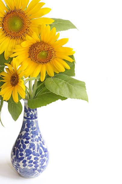 istock Sunflowers in a Vase 176083520