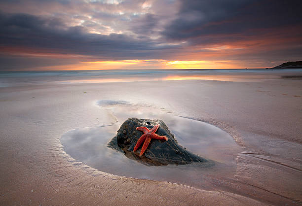 stella di mare tramonto - woolacombe foto e immagini stock