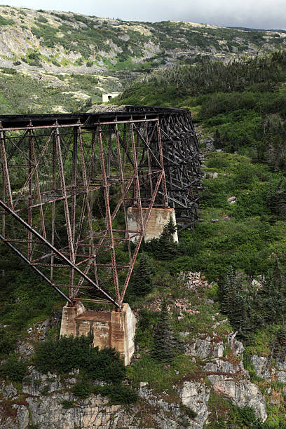 istock Old Steel Cantilever Bridge 176083956