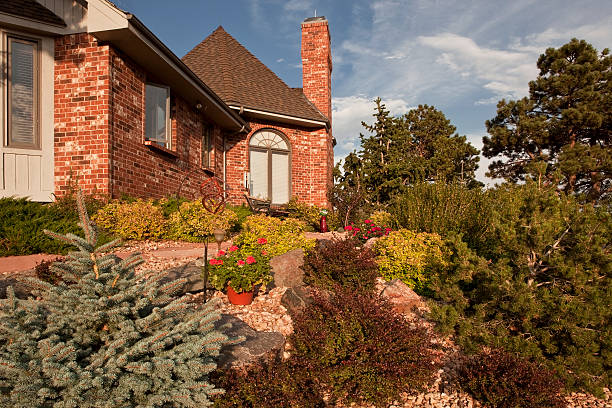 Summer late afternoon in an inviting rock garden.SEE VERTICAL: