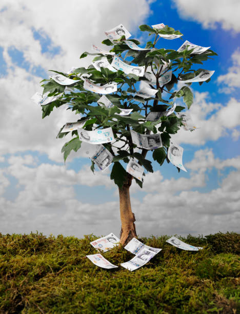 libra británica notas sobre un árbol de dinero - money doesnt grow on trees money tree wealth paper currency fotografías e imágenes de stock