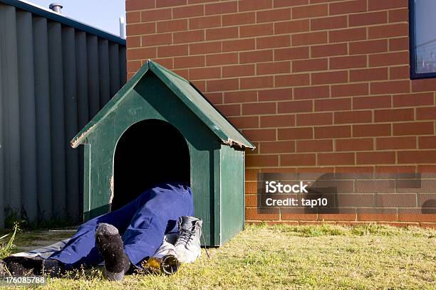 In Casa Del Cane - Fotografie stock e altre immagini di In The Dog House - Modo di dire inglese - In The Dog House - Modo di dire inglese, Uomini, Cuccia