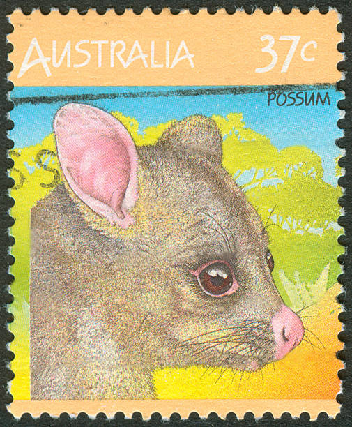 istock Postage stamp of Possum 176085893