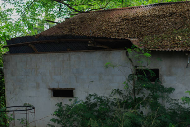 istock Destroyed houses in which people lived in a dead radioactive zone 1760861486