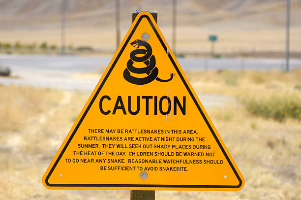 istock Rattlesnake Warning Sign Along Highway 176086466