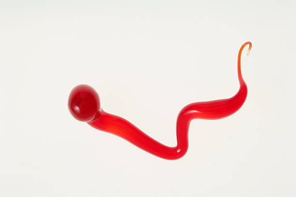 istock Isolated shot of red glass object on white background 176086758