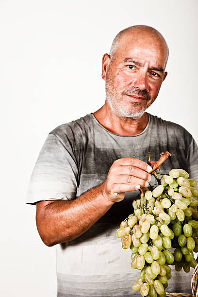 istock Man holding a bunch of grapes 176086843
