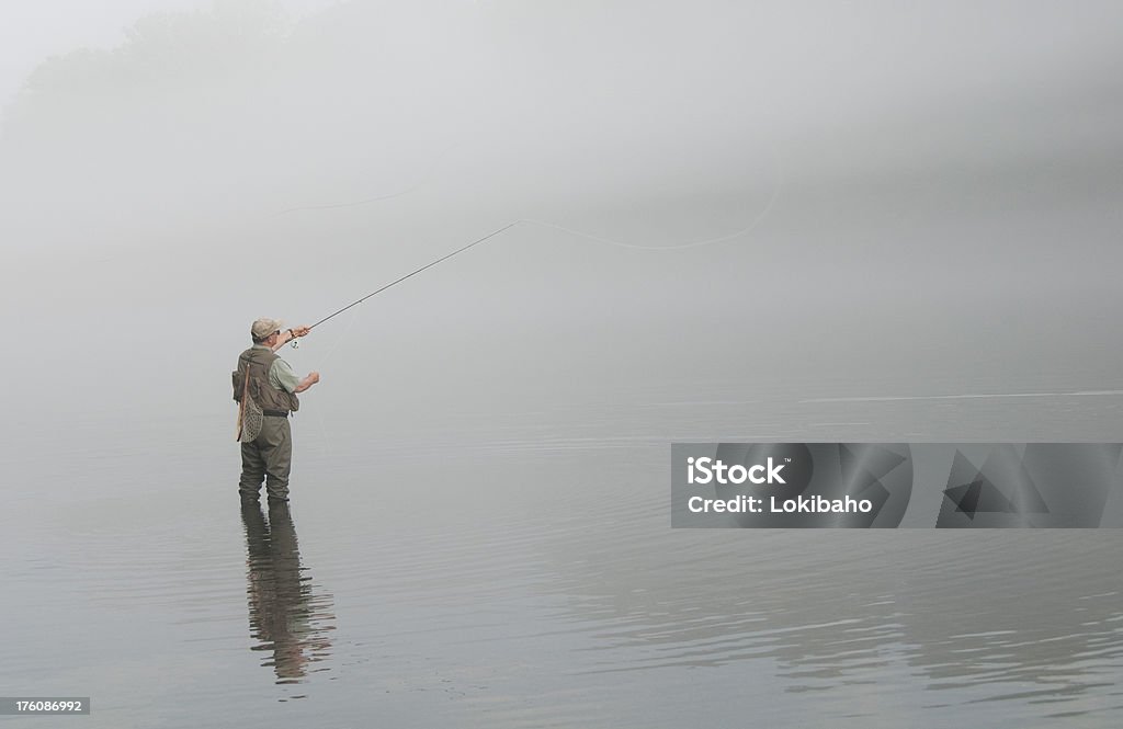 Ondeggiare nebbioso - Foto stock royalty-free di Acqua