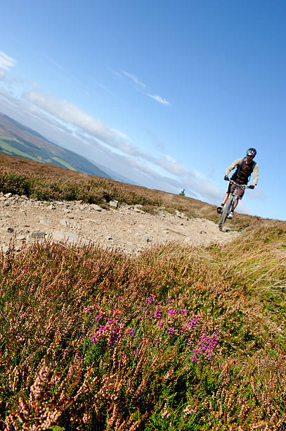 istock Moorland cycling 176087346