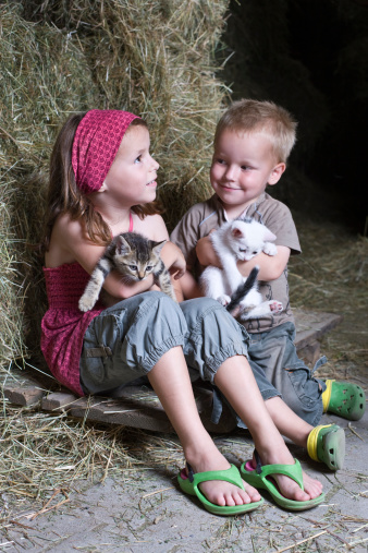 Two Children playing with Kittens in the Barn. Focused on Girl.