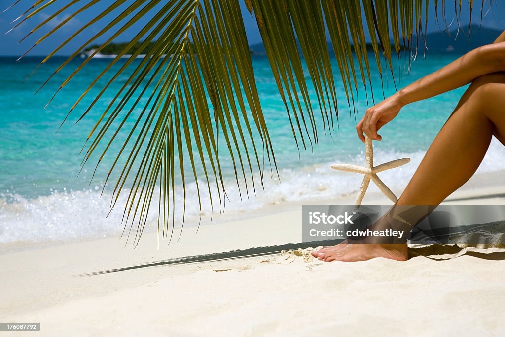 palm Liść złożony, kobieta i starfish - Zbiór zdjęć royalty-free (Brzeg wody)