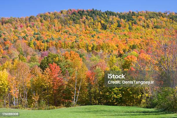 Bright Autumn Foliage Stock Photo - Download Image Now - Autumn, Beauty In Nature, Extreme Terrain