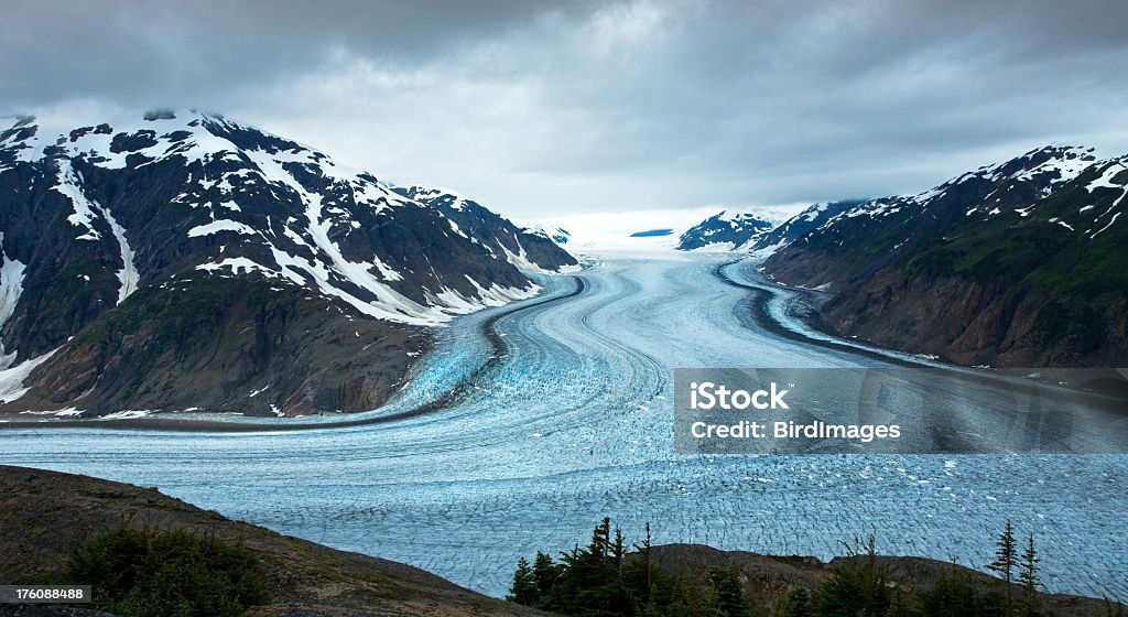 Лосось Glacier, Британская Колумбия, Канада - Стоковые фото Канада роялти-фри