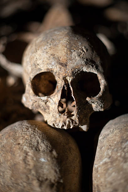 istock Catacombs of Paris 176089081