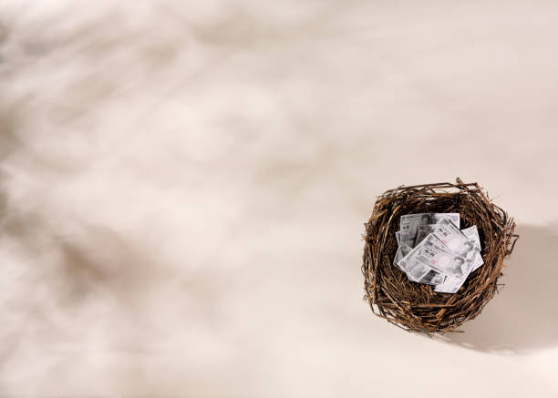 istock Japanese Money in a Birds Nest 176089570