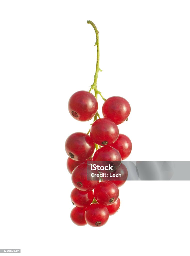 Red currant isolated red currant[B]more > Berry Fruit Stock Photo