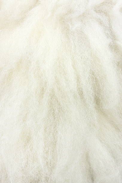 Wool Animal Hair Fabric Fur