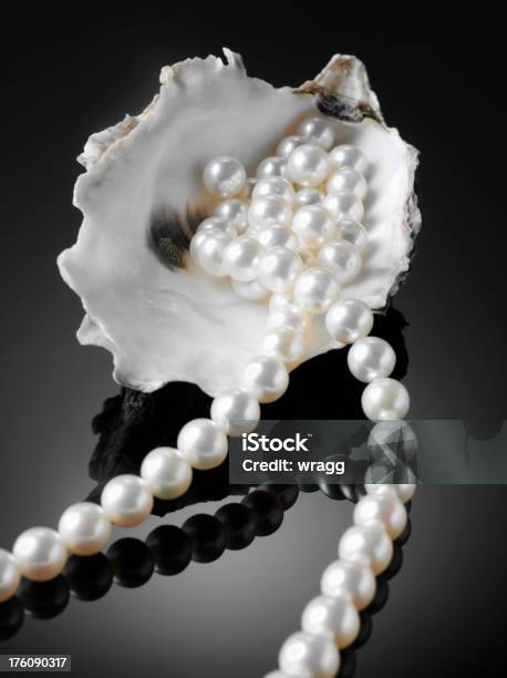 Collana Di Perle E Ostriche Bianco Conchiglia - Fotografie stock e altre immagini di Perla - Gioielli - Perla - Gioielli, Perla - Ostrica, Bellezza