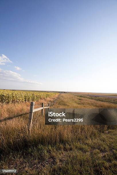 Dakotas Series Stockfoto und mehr Bilder von Ebene - Ebene, North Dakota, Agrarbetrieb