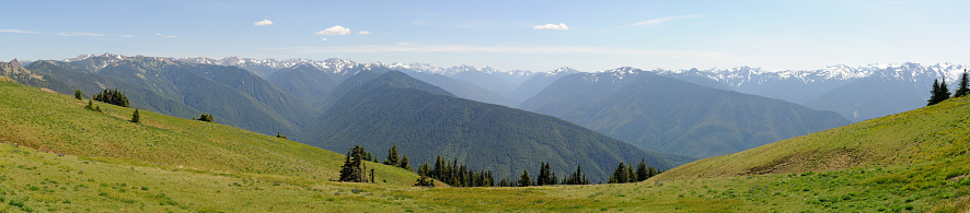 A panorama of Washington's Olympic Mountains with a grassy meadow in the foreground.