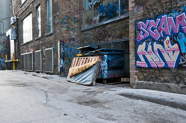 istock Garbage Dumpster in The Back Alley 176091696