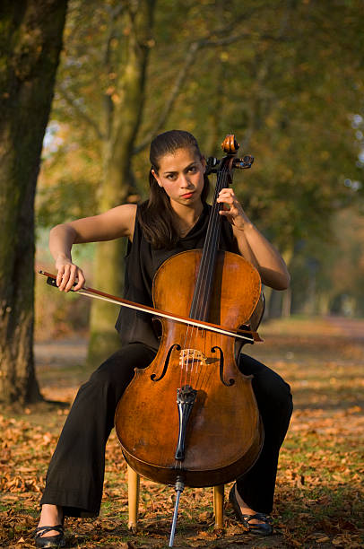 istock Woman with cello outdoors 176091918