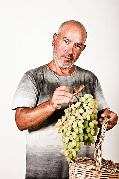 istock Man holding a bunch of grapes 176092277