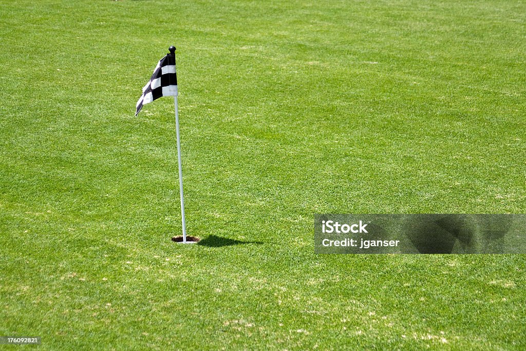 Mini Putting Green Flag A small flag marks the hole on a small putting green. Copy Space Stock Photo