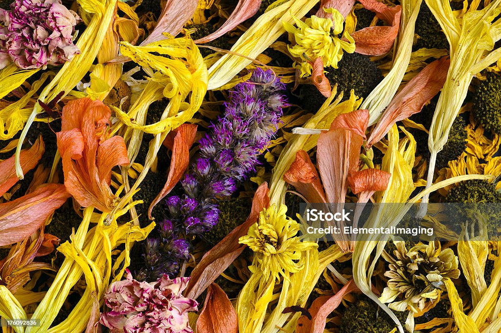 Сухое цветочный рисунок, фон или текстуры - Стоковые фото Абстрактный роялти-фри
