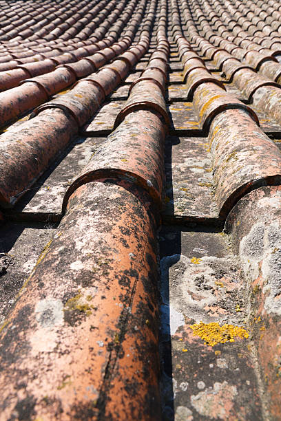 istock Old Roof Tiles 176093055