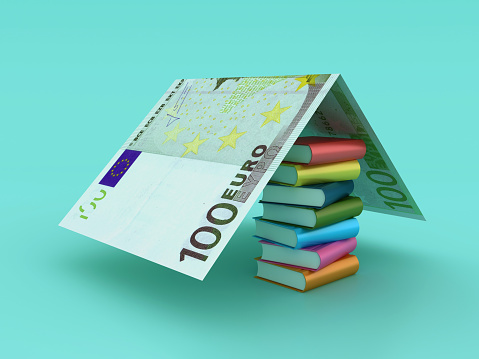 Stack of Books with Euro Bank Note Roof - Color Background - 3D Rendering