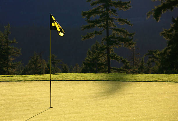 istock A black and yellow checkered golf flag on a green 176094094