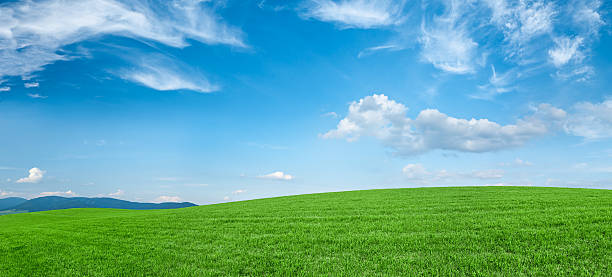 istock Panoramic spring landscape 42MPix XXXXL size - meadow, blue sky 176094785