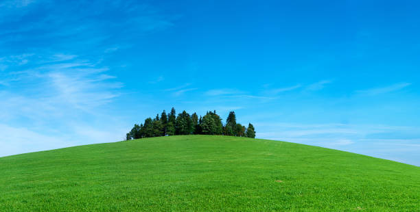 istock Highland scenery 83MPix XXXXL meadow, hill, forest, blue sky 176095346
