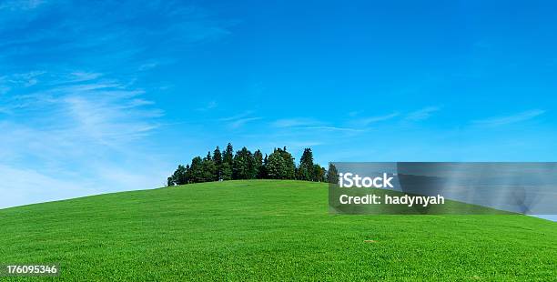 Highland Scenery 83mpix Xxxxl Meadow Hill Forest Blue Sky Stock Photo - Download Image Now