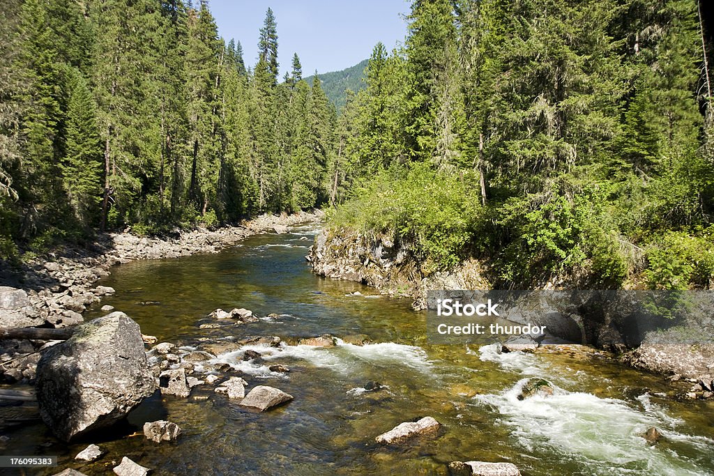 Mountain Stream alce Creek - Foto de stock de Agua libre de derechos