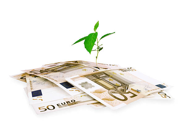 istock Isolated Plant and Money 176095706