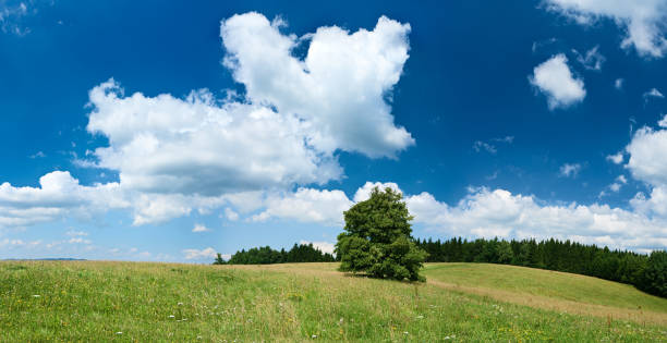 istock Panoramic spring landscape 96MPix XXXXL size - highlands, blue sky 176096031