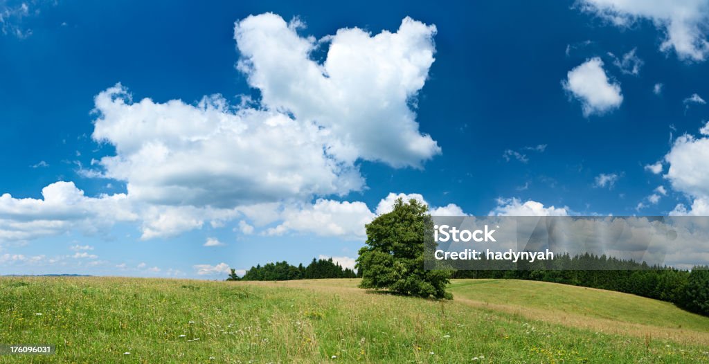 Z panoramicznym widokiem na wiosnę Krajobraz 96MPix rozmiar XXXXL highlands, niebieski niebo - Zbiór zdjęć royalty-free (Bez ludzi)